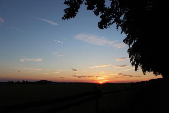 Hotel Drei Lilien 19