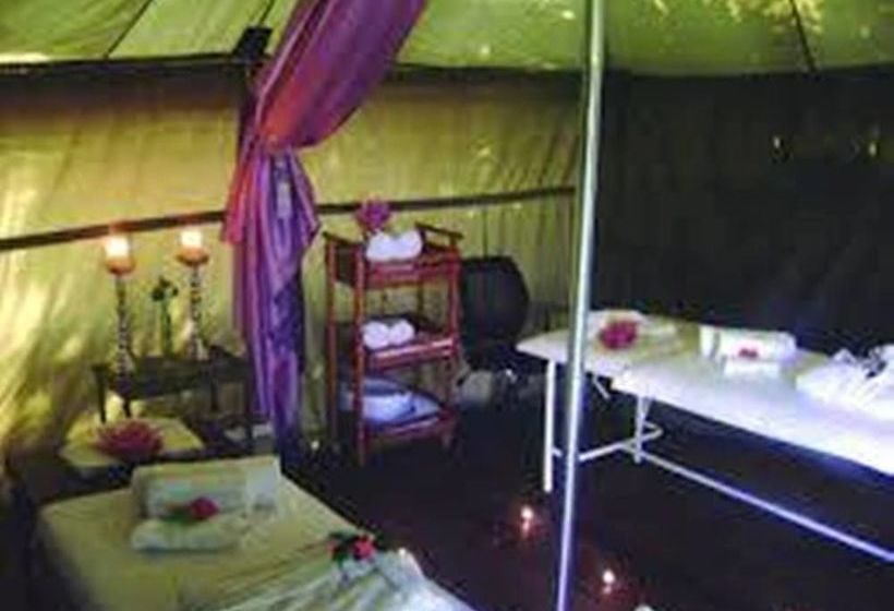 Pension Crane's Nest Guest House & Spa @ 313 10