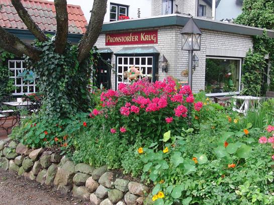 Hotel Pronstorfer Krug 14