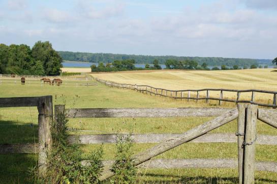 Hotel Pronstorfer Krug 2