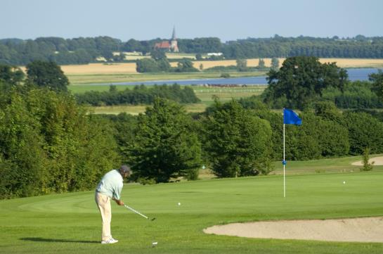 Hotel Pronstorfer Krug 6