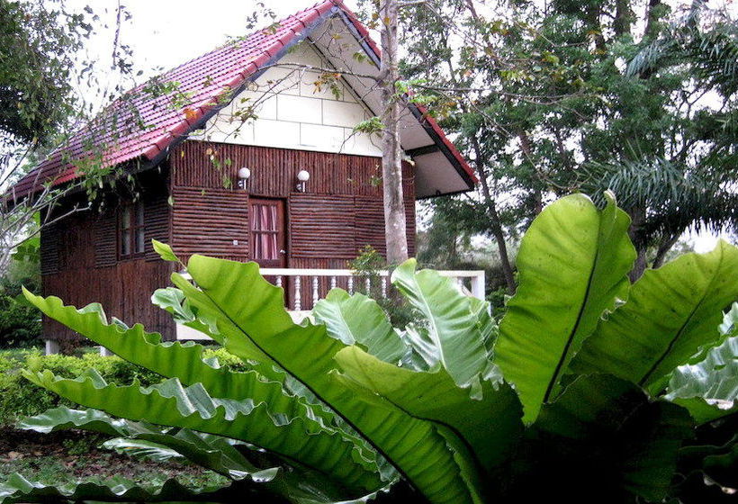 Pension Thai Bamboo Guesthouse 9