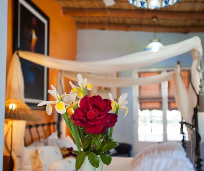 Pension 7 Church Street Guest House 6