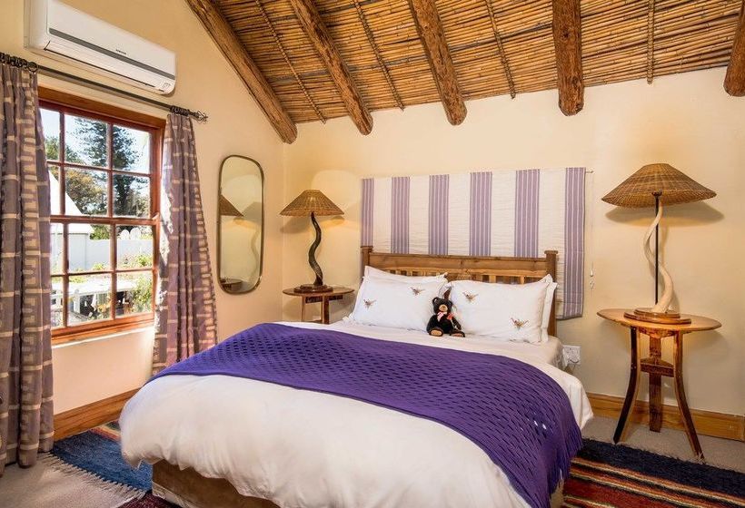 Pension 7 Church Street Guest House 8