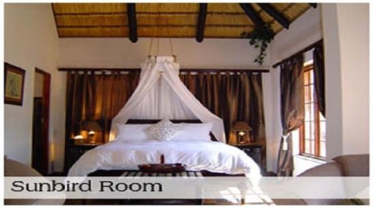 Forest Creek Lodge Mpumalanga