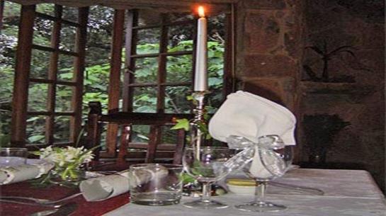 Forest Creek Lodge 1