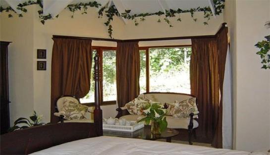 Forest Creek Lodge 11