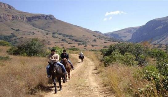 Forest Creek Lodge 2