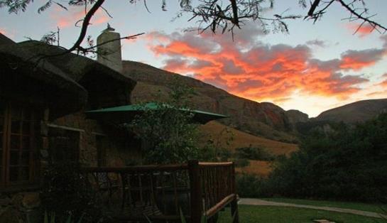 Forest Creek Lodge 7