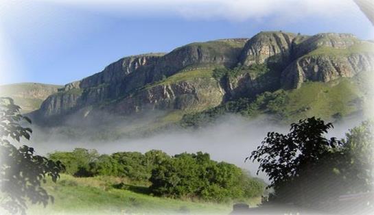 Forest Creek Lodge 8