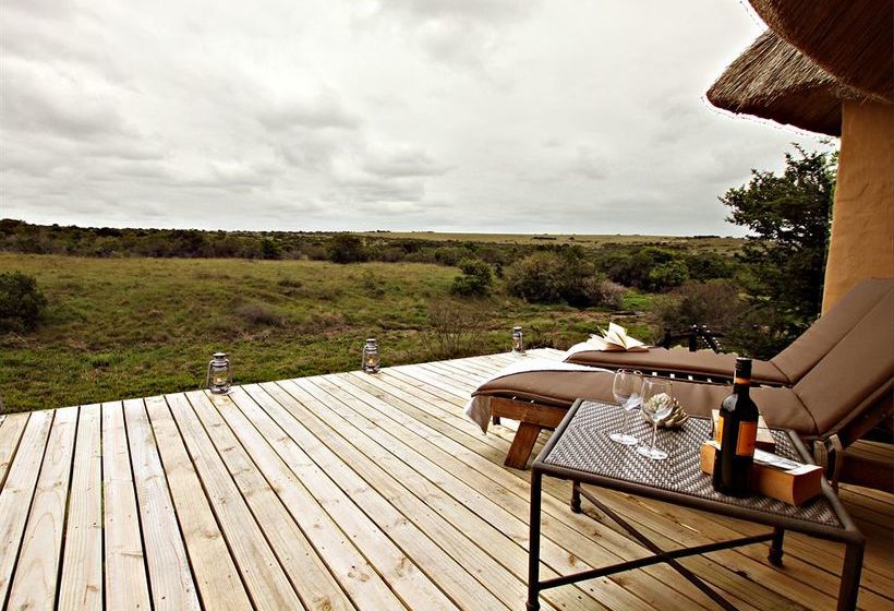 Amakhala Game Reserve - Hlosi Game Lodge Eastern Cape