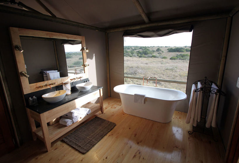 Amakhala Game Reserve - Hlosi Game Lodge 11