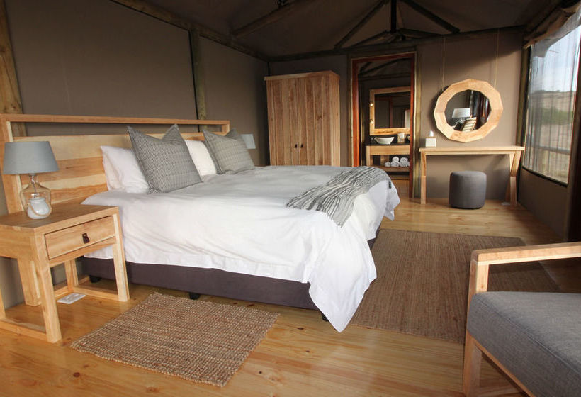 Amakhala Game Reserve - Hlosi Game Lodge 12