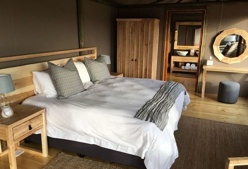 Amakhala Game Reserve - Hlosi Game Lodge 13