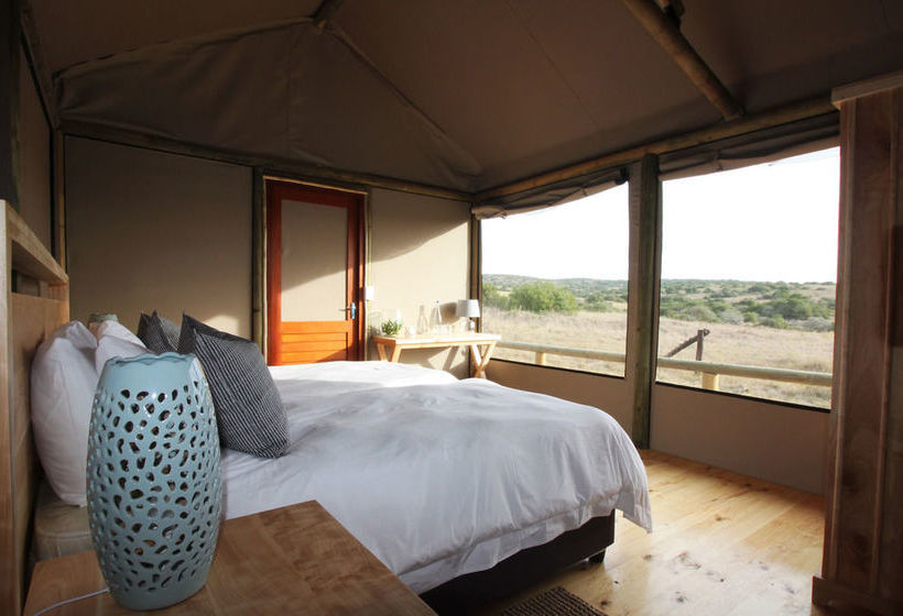 Amakhala Game Reserve - Hlosi Game Lodge 14