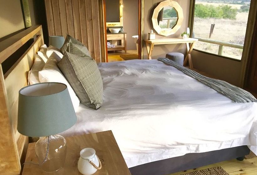 Amakhala Game Reserve - Hlosi Game Lodge 15