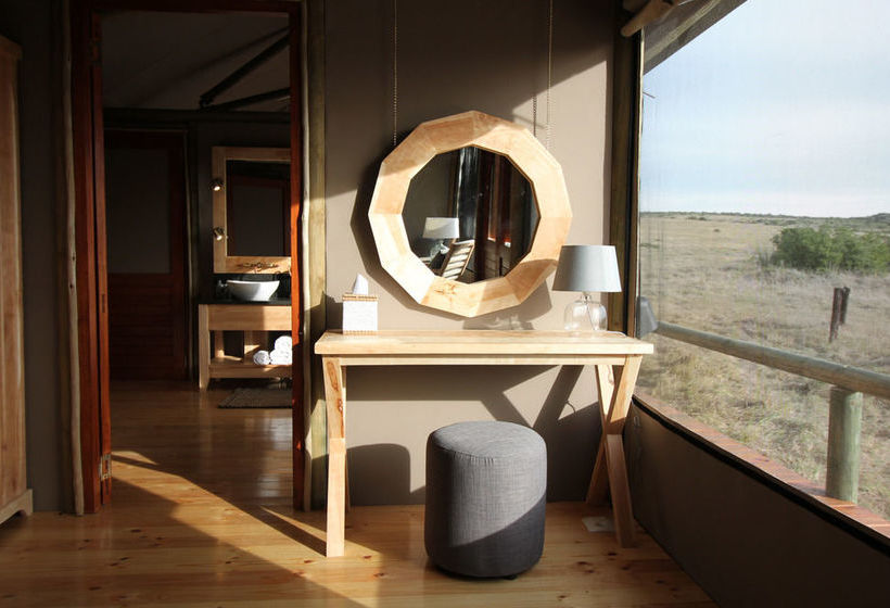 Amakhala Game Reserve - Hlosi Game Lodge 16