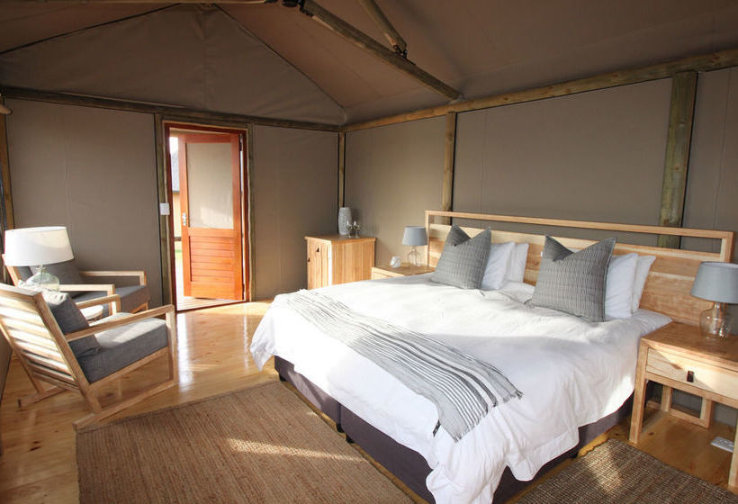 Amakhala Game Reserve - Hlosi Game Lodge 17