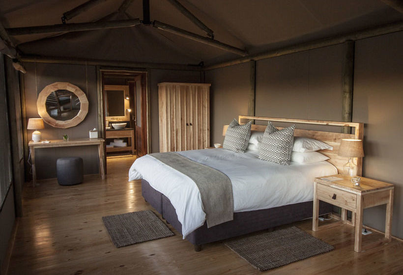 Amakhala Game Reserve - Hlosi Game Lodge 19
