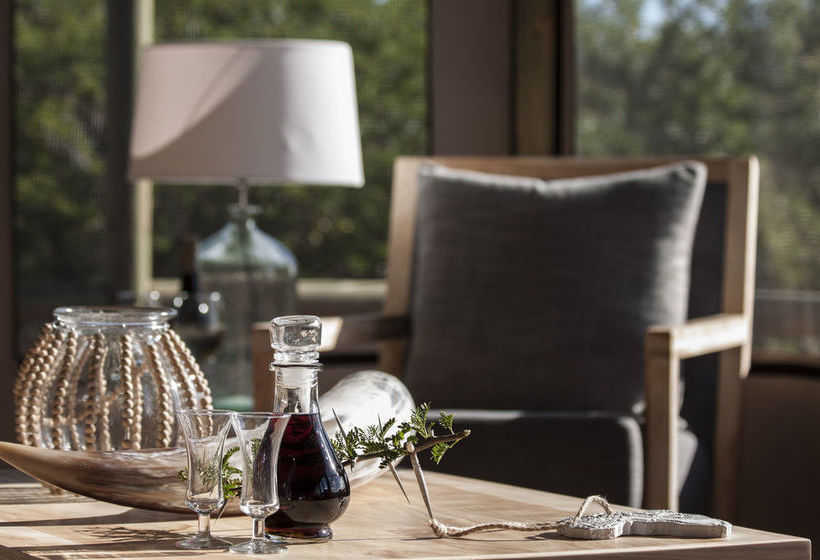 Amakhala Game Reserve - Hlosi Game Lodge 20