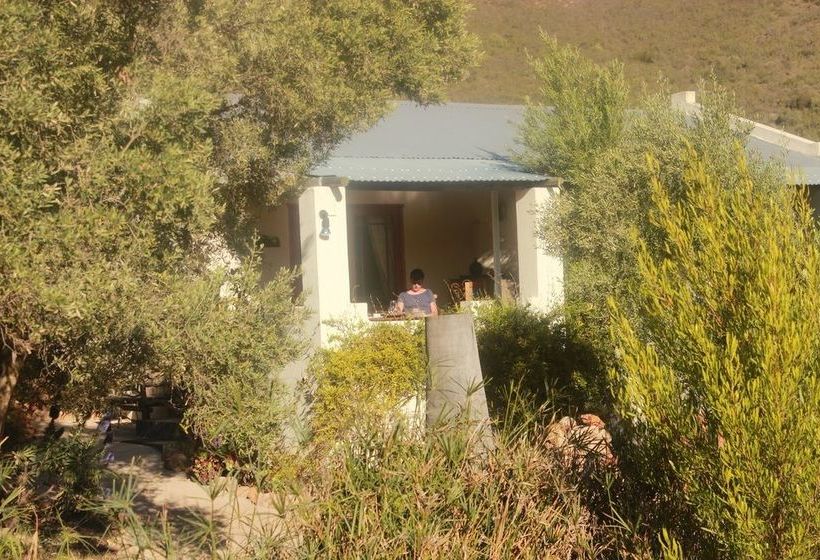 Olive Garden Country Lodge 9