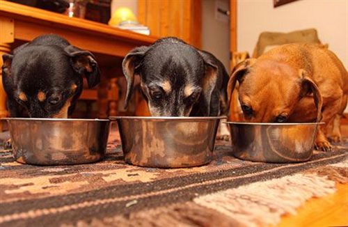 Pension The Old Trading Post - Guest House 19