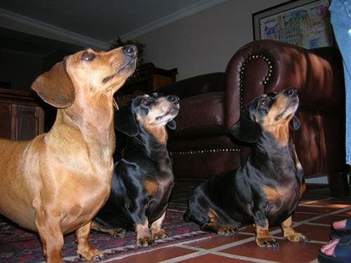 Pension The Old Trading Post - Guest House 20