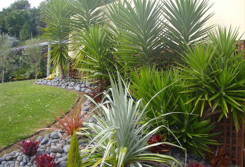 Seascape Villa Bed & Breakfast 4