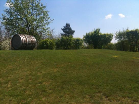 Hotel Anlage Starick Am Mühlberg 11