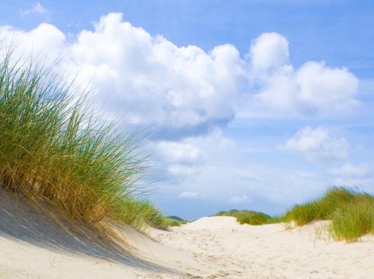 Hotel Monbijou Strand 17