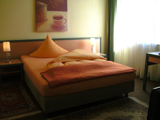 Hotel Altes Casino 5