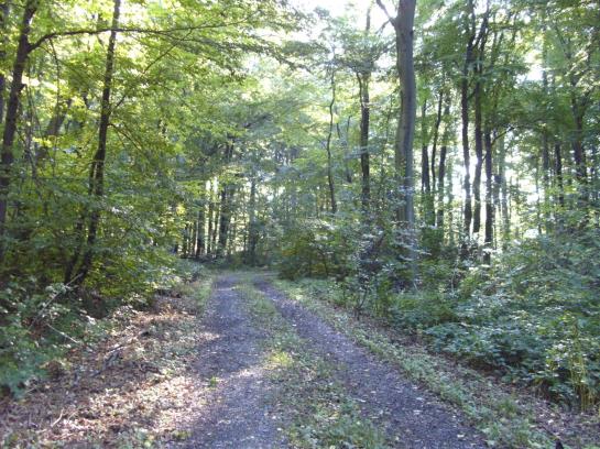 Hotel Altes Casino 8