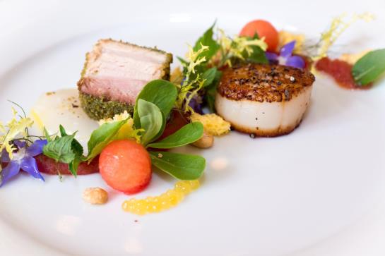 Seehotel Großräschen 4