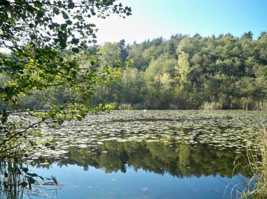 Hotel Am Sutschke- Tal 18