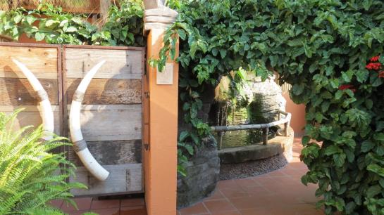 Pension Dinkwe Lodge & Guest House 8