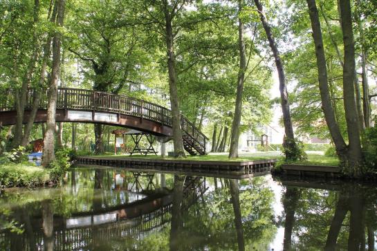 Hotel Am Alten Rhin 8