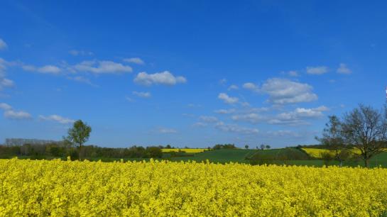 Hotel Zum Weissen Ross 16