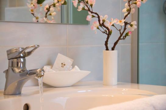 Hotel Ambassador Potsdam 10