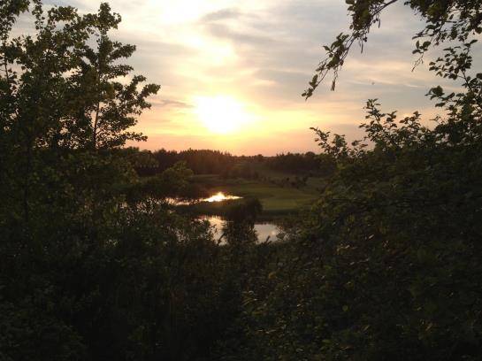 Hotel Im Hofgarten Garni 1
