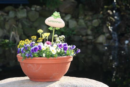 Hotel Fritz & Restaurant 1