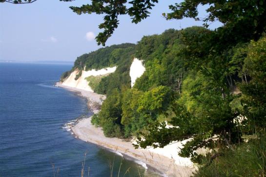 Bed & Breakfast Schneidereit Pension 11