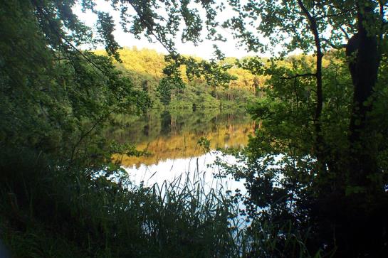 Bed & Breakfast Schneidereit Pension 20