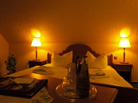 Hotel Waldschlösschen 12