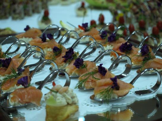 Hotel Waldschlösschen 5