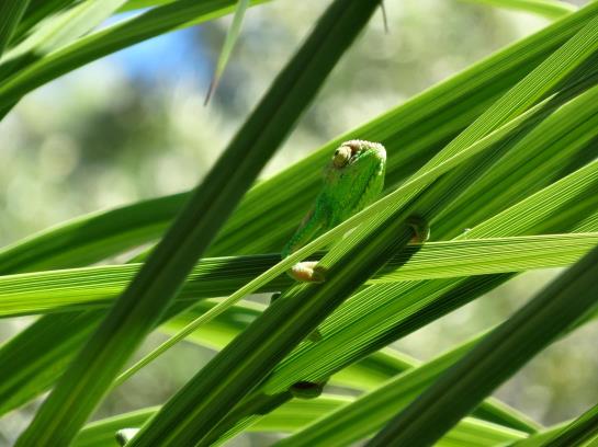 Hotel Helderview Homestead 3