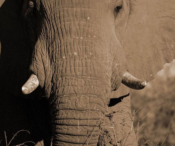 Pension Nandina Guest House 17