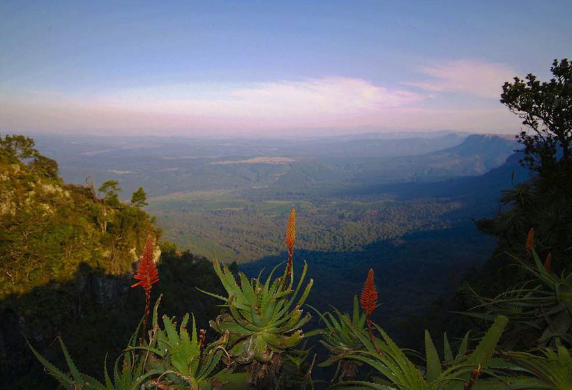 Pension Nandina Guest House 4