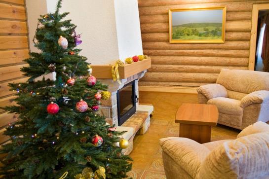 Hotel Svetliy Terem 5