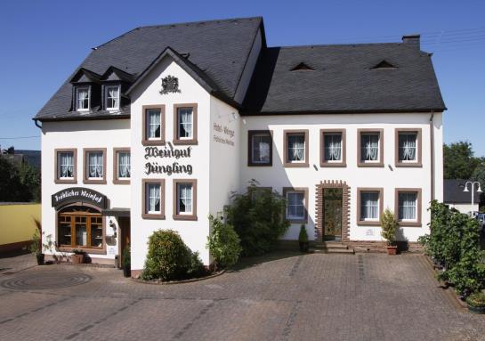 Hotel Weingut Fröhliches Weinfass 2