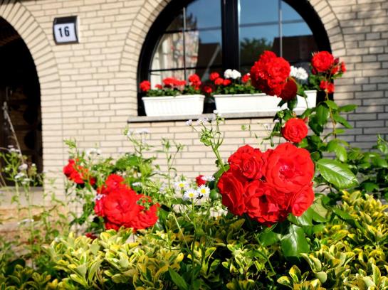 Bed and Breakfast Villa Orchard 11